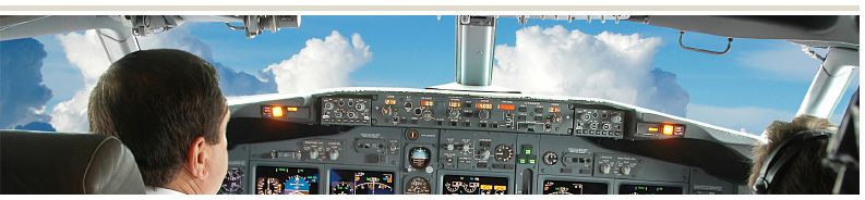 Der Pilot im Projekt-Cockpit